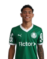 LUIS PACHECO