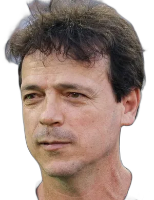 FERNANDO DINIZ